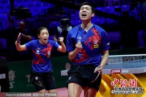 资料图为许昕、刘诗雯庆祝胜利。图片来源：Osports全体育图片社